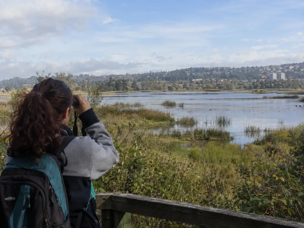 Jóvenes participando en una actividad de educación ambiental en un entorno natural